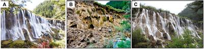 Conserving the unique aquatic ecosystem of the Jiuzhai National Heritage Site after the 2017 earthquake: Achievements and challenges